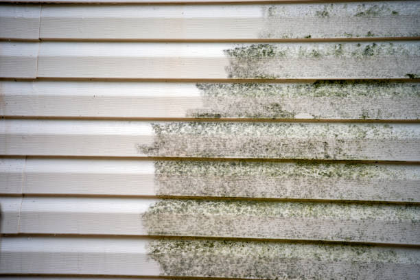 Best Furniture Removal  in Hamshire, TX